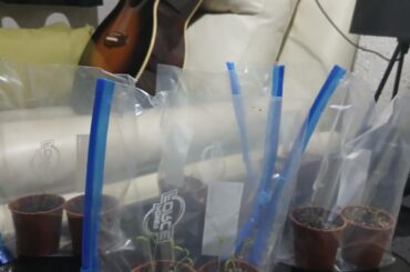 Am i suffocating them?