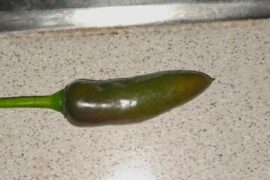 Help identifying these peppers