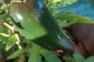 I have another question