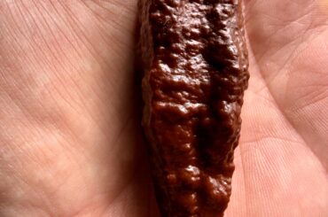 No, it’s not a cat turd