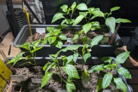 Two month growth update. Incredibly satisfied with the progress.