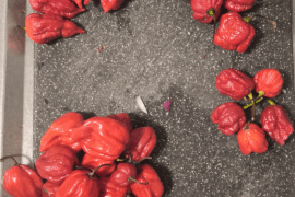 Made another batch today.