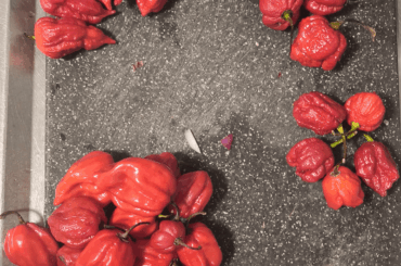 Made another batch today.