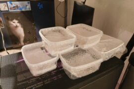 Hot tip for fellow budget growers: idle PC as heating mat!