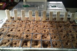 Well...the 2026 Journey begins!