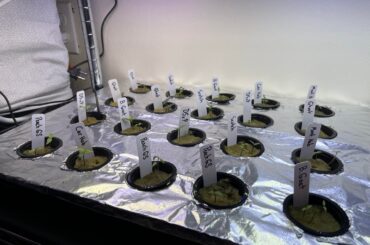 Longtime Lurker, First Time Poster