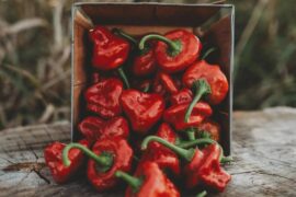 Jamaican mushroom peppers?