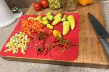 First Attempt at Fermented Hot Sauce