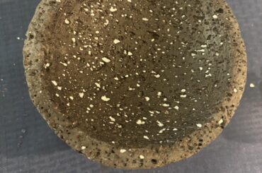 Question about the rice after seasoning