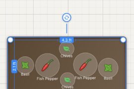 My plan for companion (apartment) gardening