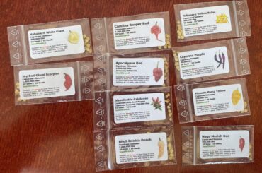 What do you think of my 2026 lineup?