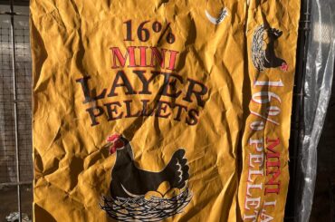 First time growing superhots. Rate my setup?