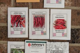 Potential parents for next season, anything I should add? (Cayenne and shishito trials)