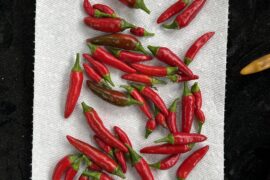 Some of last year’s harvest