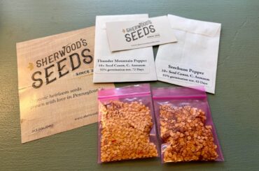 First online pepper seed order and first time starting peppers from seed