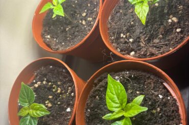 30 day progress- should I change anything?