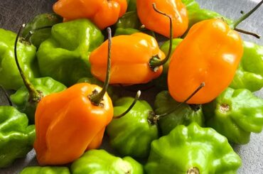 Scotch bonnet, habanero, and pineapple dump sauce