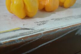 Need help with ID, Please.