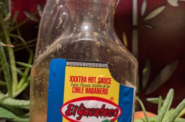 How much I've had in a year