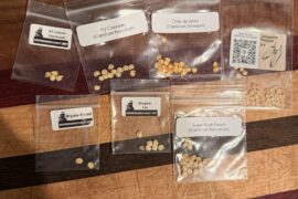 Trade some seeds anyone?