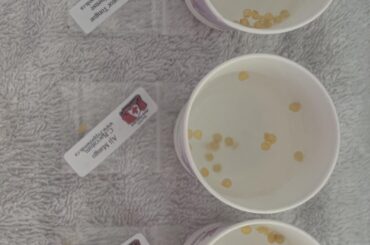 First time soaking seeds, need advice!