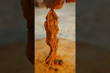 Chili Bitter { Spicy } Pickle 🌶️ Masala 🤤||