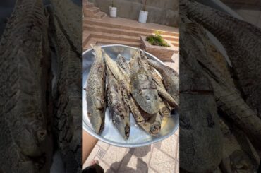 Caldeirada de Bodó em Tefé #receitas #raphaelcamposo #receita #dicas