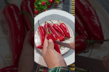 Red chilli pakoda 🌶️ #shorts​ #viral​ #chili​ #pakora​ #trending​ #shortfeed #youtubeshorts #holi