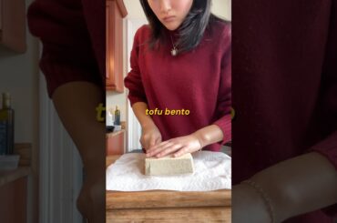 work lunch pt. 3: chili braised tofu bento 🍱