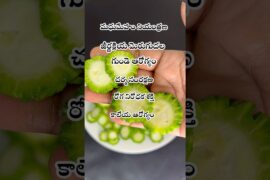 కాకరకాయ టమాటో కూర #bittergourd #manthena #shorts #sugarcontrol #benifits #recipe