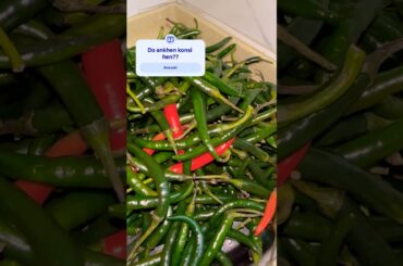 Comment any green chilli recipe plz #halo #foodreels #videoshort #shorts