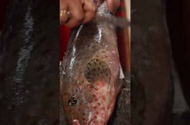 ഇതെന്ത് മീനാ? HamourFishMasala #FishRecipe #KeralaSeafood #HamourFish #SeafoodLovers #saltandpepper