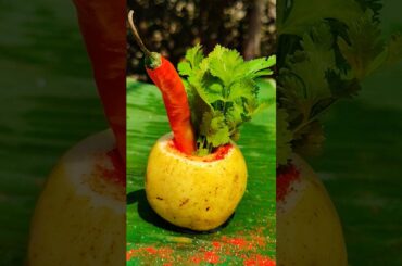 testy guava chilli masala 😋‼️#trending #shorts #viral #food #reels #recipe #farming #harvest #short