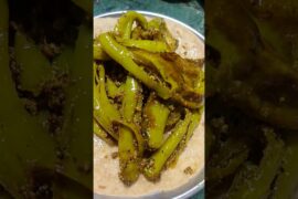 Rajasthani Dahi mirch recipe 😍✨#dahimirchirecipe#viral #shortsfeed#rajasthanidish#recipe #spicy