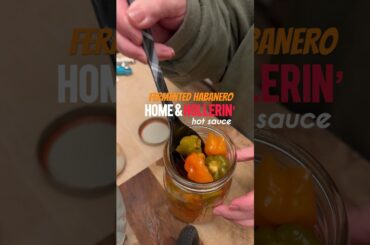 Fermented Habanero hot sauce recipe #fermentation #hotsauce #recipe #homemade #peppers