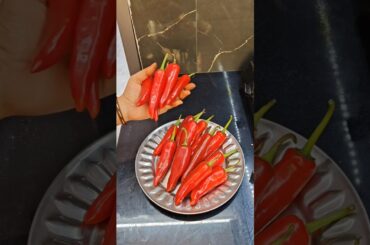 subhanallah♥️ﷺ♥️#cooking #shortvideo #recipe #shorts #mirchKaAchar #shortvideo #food #foodie