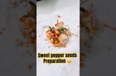#preparingsweetpepperseeds 🥰