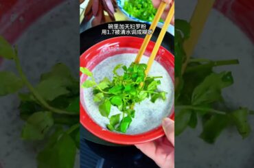 Mastering Sichuan Pepper Sprouts: Easy & Delicious for Beginners