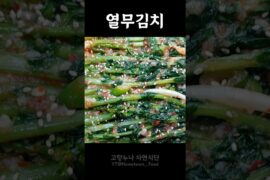 [열무김치] 봄 열무 미리 담가두세요~