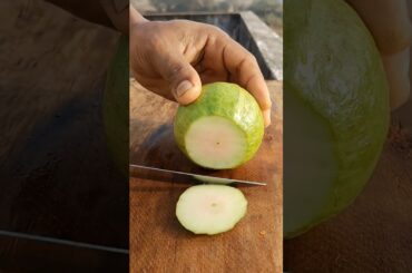 Guava With Black Pepper flavour 🔥🤤 #shots #trending #food #fruit