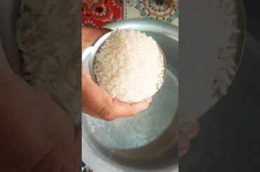 Black Pepper Khichdi Recipe | Simple & Healthy Kali Mirch Khichdi #shorts #shortvideo