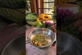 Agar achaanak se lag jaaye bhookh toh banao yeh chilli Coriander maggi #shorts