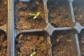 Would you look at that...