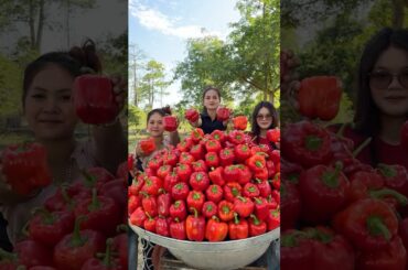 Cooking yummy red chili recipe