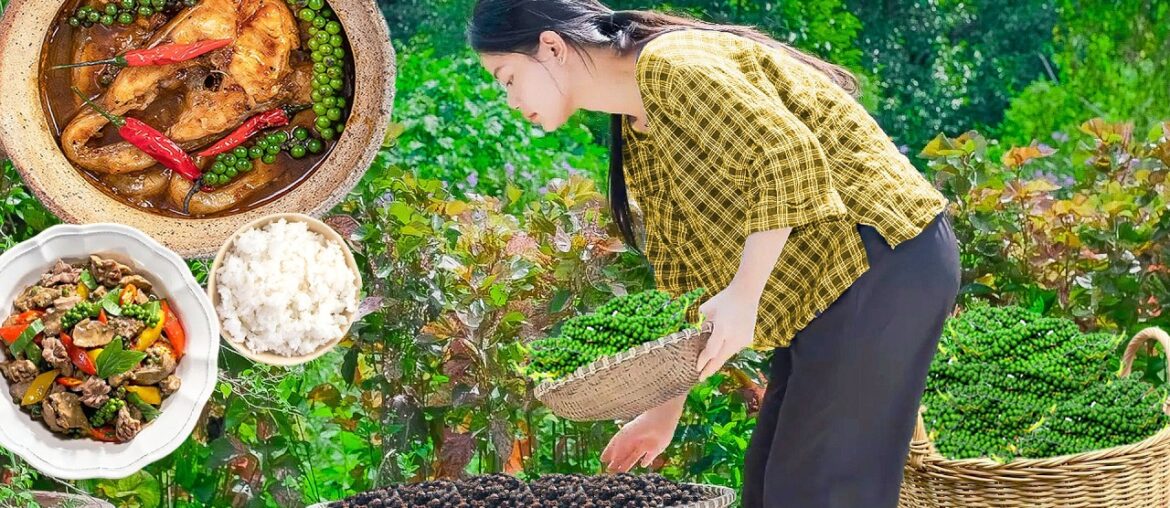Harvest fresh pepper sell at market cook delicious pepper fish dish! | Lam Anh New Life