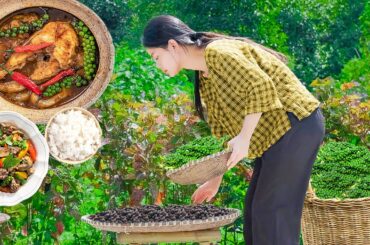 Harvest fresh pepper sell at market cook delicious pepper fish dish! | Lam Anh New Life