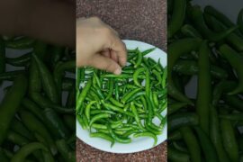 दही वाली चटपटी हरी मिर्च #shorts #ytshorts #easyrecipe #greenchilli #recipe #food #dahimirchi