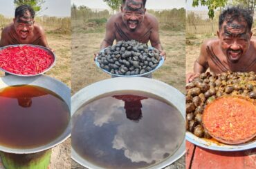 Amazing Cooking Yummy Snail with chili recipe - village food