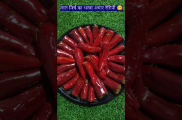 लाल मिर्च  का अचार रेसिपी 😋//Lal mirch ka bharwa Achar recipe ❤️@Nirjala_rasoi