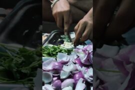 mission soyabin chilli recipe with friends #shorts #ytshorts #recipe #food #jilu-e6v